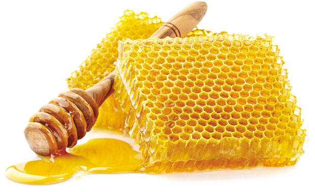 Мед за здравље, полен за дуг живот